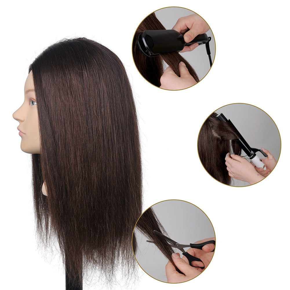 Quanzhen Hair Cutting Practice Training Barber &amp; Dye Modeling Simulation Teaching