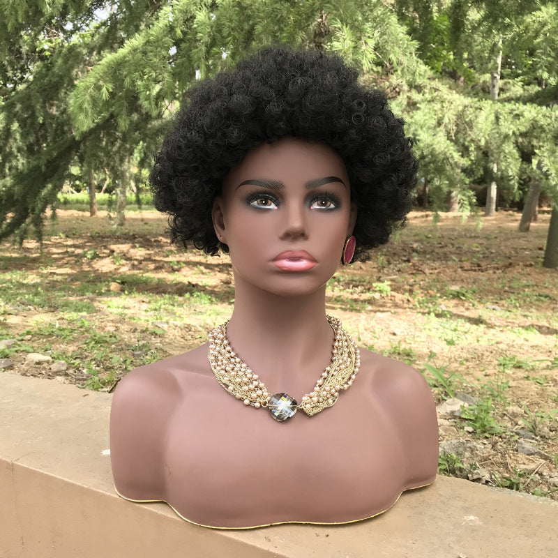Mannequin Head Wig Earrings Necklace Stand Display