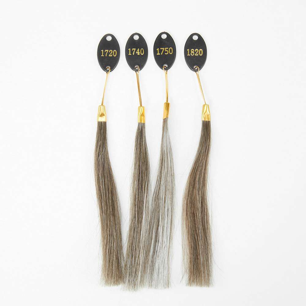 ReHair blonde hair colors with gray blends