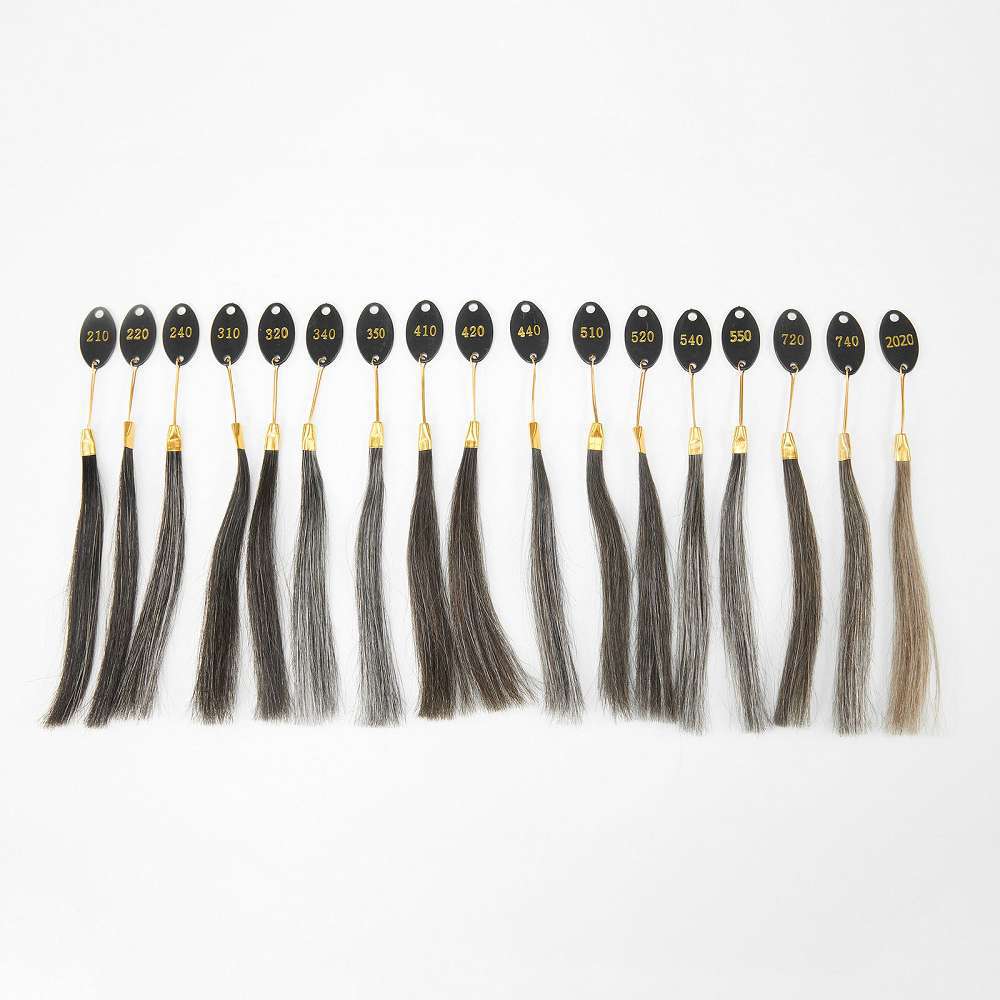 ReHair brown hair colors blended with gray